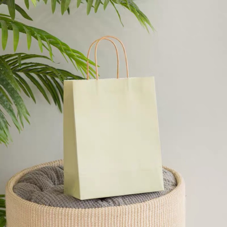 Kraft shopping bags with rope handles